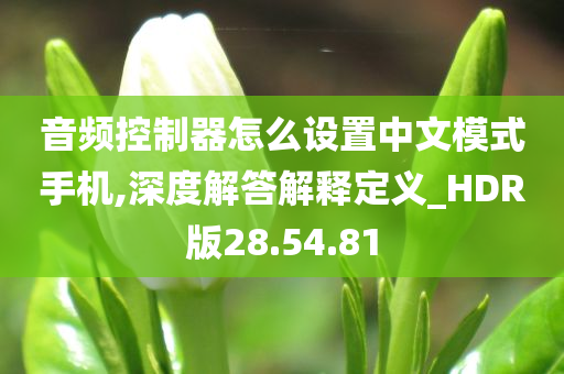 音频控制器怎么设置中文模式手机,深度解答解释定义_HDR版28.54.81