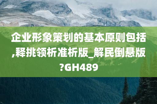 企业形象策划的基本原则包括,释挑领析准析版_解民倒悬版?GH489