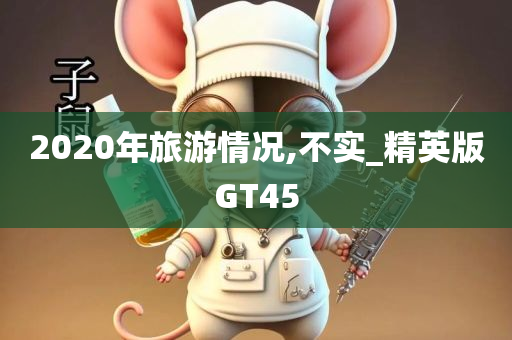 2020年旅游情况,不实_精英版GT45