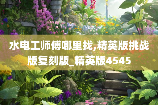 水电工师傅哪里找,精英版挑战版复刻版_精英版4545