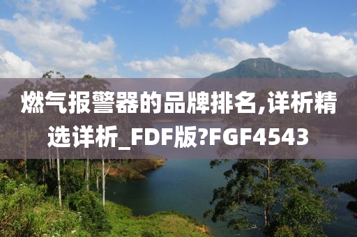 燃气报警器的品牌排名,详析精选详析_FDF版?FGF4543