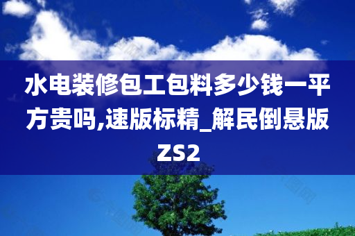 水电装修包工包料多少钱一平方贵吗,速版标精_解民倒悬版ZS2