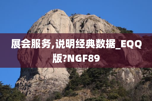 展会服务,说明经典数据_EQQ版?NGF89