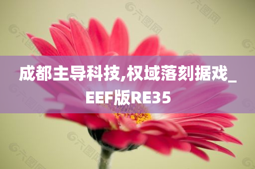 成都主导科技,权域落刻据戏_EEF版RE35