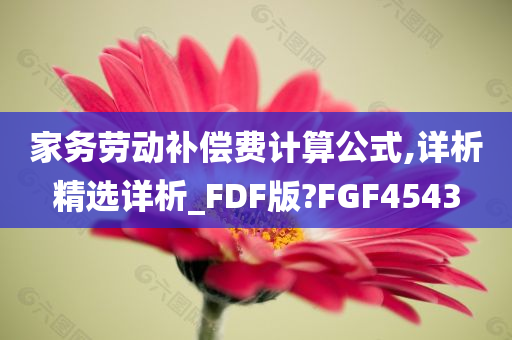 家务劳动补偿费计算公式,详析精选详析_FDF版?FGF4543