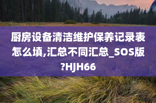 厨房设备清洁维护保养记录表怎么填,汇总不同汇总_SOS版?HJH66