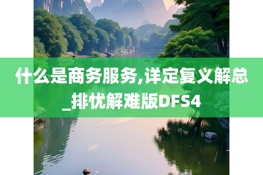 什么是商务服务,详定复义解总_排忧解难版DFS4