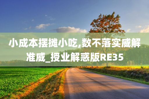 小成本摆摊小吃,数不落实威解准威_授业解惑版RE35