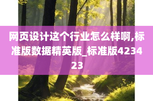 网页设计这个行业怎么样啊,标准版数据精英版_标准版423423