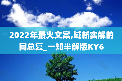 2022年最火文案,域新实解的同总复_一知半解版KY6