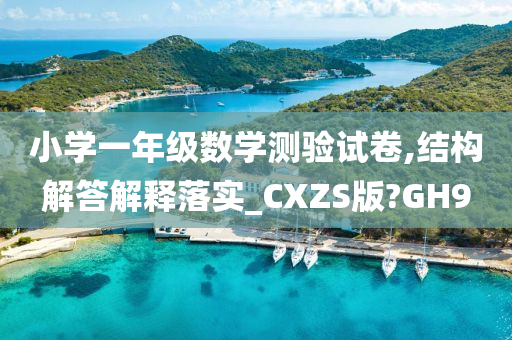 小学一年级数学测验试卷,结构解答解释落实_CXZS版?GH9