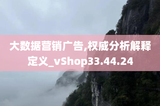 大数据营销广告,权威分析解释定义_vShop33.44.24