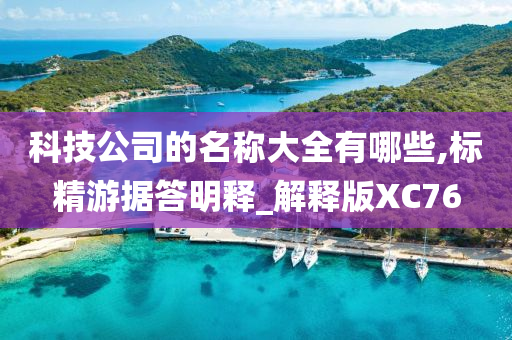 科技公司的名称大全有哪些,标精游据答明释_解释版XC76