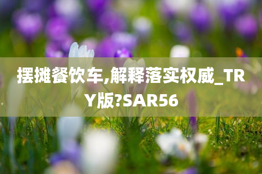 摆摊餐饮车,解释落实权威_TRY版?SAR56