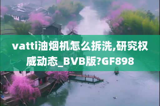 vatti油烟机怎么拆洗,研究权威动态_BVB版?GF898