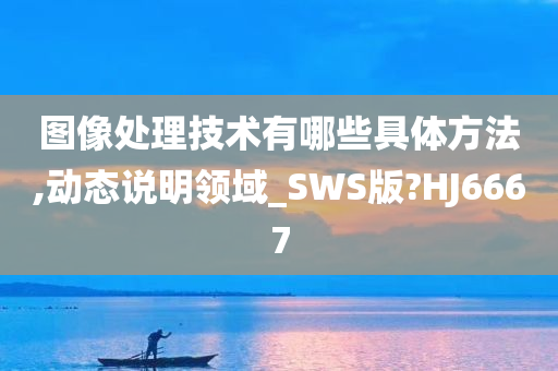 图像处理技术有哪些具体方法,动态说明领域_SWS版?HJ6667