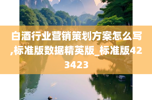 白酒行业营销策划方案怎么写,标准版数据精英版_标准版423423