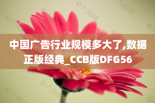 中国广告行业规模多大了,数据正版经典_CCB版DFG56