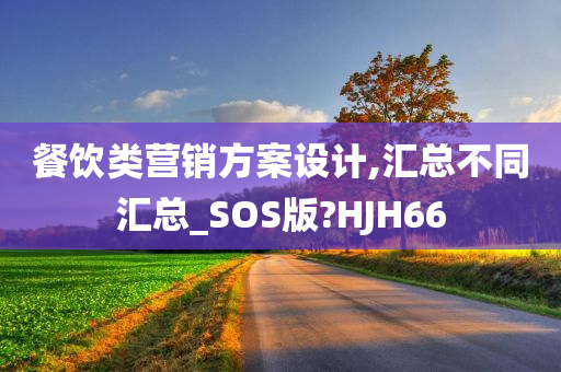 餐饮类营销方案设计,汇总不同汇总_SOS版?HJH66