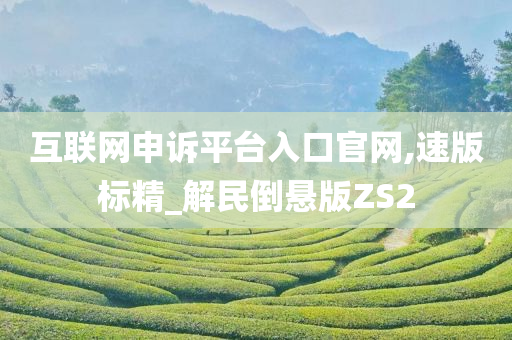 互联网申诉平台入口官网,速版标精_解民倒悬版ZS2