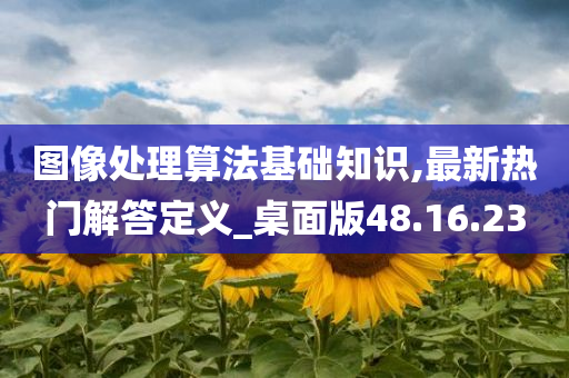 图像处理算法基础知识,最新热门解答定义_桌面版48.16.23