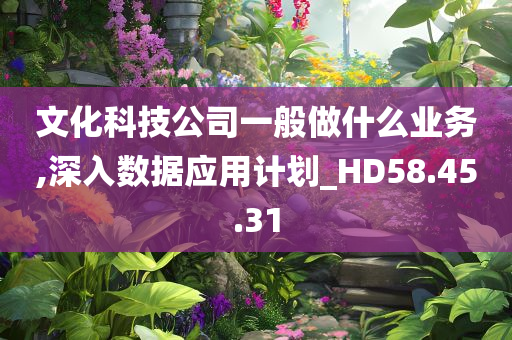 文化科技公司一般做什么业务,深入数据应用计划_HD58.45.31