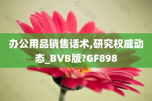 办公用品销售话术,研究权威动态_BVB版?GF898