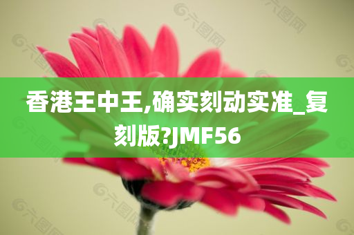 香港王中王,确实刻动实准_复刻版?JMF56