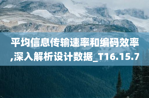 平均信息传输速率和编码效率,深入解析设计数据_T16.15.70