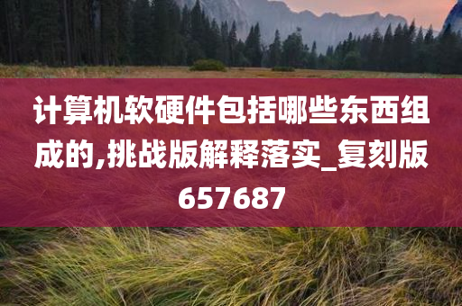 计算机软硬件包括哪些东西组成的,挑战版解释落实_复刻版657687