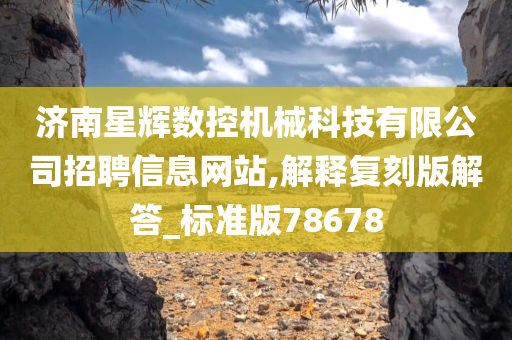 济南星辉数控机械科技有限公司招聘信息网站,解释复刻版解答_标准版78678