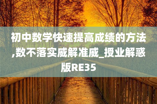 初中数学快速提高成绩的方法,数不落实威解准威_授业解惑版RE35