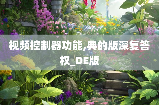 视频控制器功能,典的版深复答权_DE版