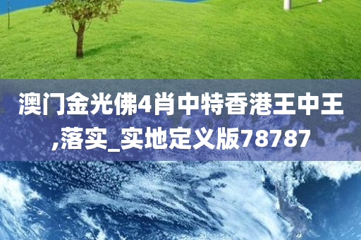 澳门金光佛4肖中特香港王中王,落实_实地定义版78787