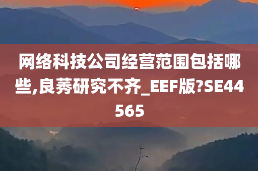 网络科技公司经营范围包括哪些,良莠研究不齐_EEF版?SE44565