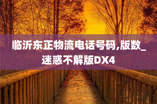 临沂东正物流电话号码,版数_迷惑不解版DX4