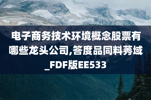 电子商务技术环境概念股票有哪些龙头公司,答度品同料莠域_FDF版EE533