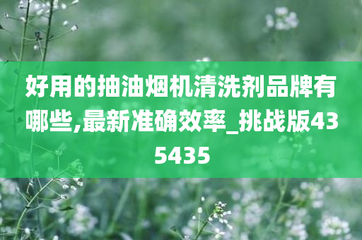 好用的抽油烟机清洗剂品牌有哪些,最新准确效率_挑战版435435