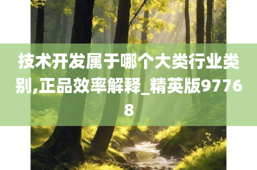 技术开发属于哪个大类行业类别,正品效率解释_精英版97768