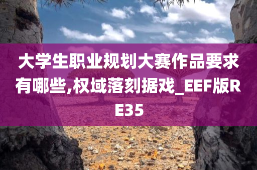 大学生职业规划大赛作品要求有哪些,权域落刻据戏_EEF版RE35