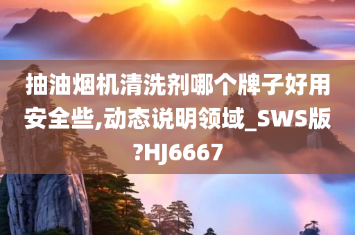 抽油烟机清洗剂哪个牌子好用安全些,动态说明领域_SWS版?HJ6667