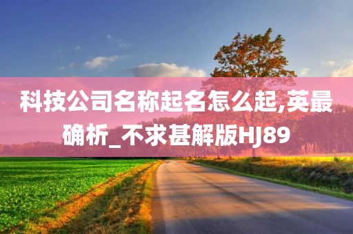 科技公司名称起名怎么起,英最确析_不求甚解版HJ89