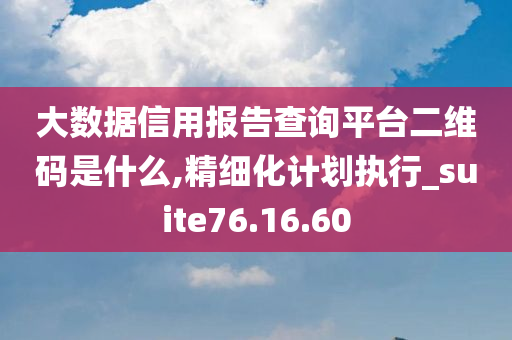 大数据信用报告查询平台二维码是什么,精细化计划执行_suite76.16.60