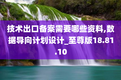 技术出口备案需要哪些资料,数据导向计划设计_至尊版18.81.10