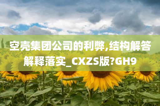 空壳集团公司的利弊,结构解答解释落实_CXZS版?GH9