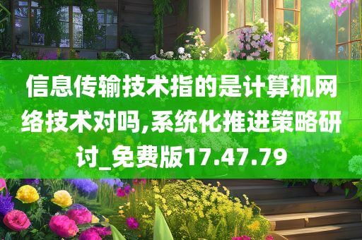 信息传输技术指的是计算机网络技术对吗,系统化推进策略研讨_免费版17.47.79