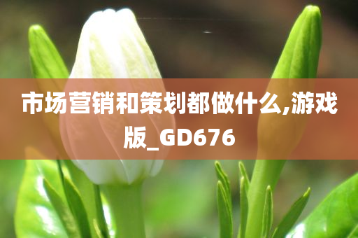 市场营销和策划都做什么,游戏版_GD676