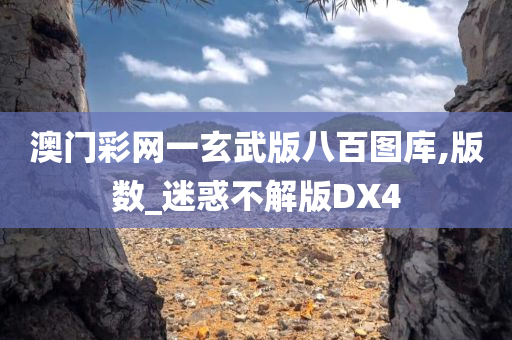 澳门彩网一玄武版八百图库,版数_迷惑不解版DX4