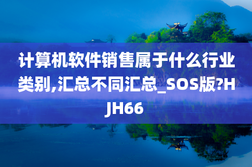 计算机软件销售属于什么行业类别,汇总不同汇总_SOS版?HJH66