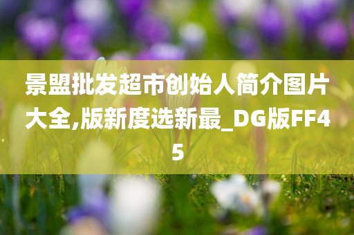 景盟批发超市创始人简介图片大全,版新度选新最_DG版FF45